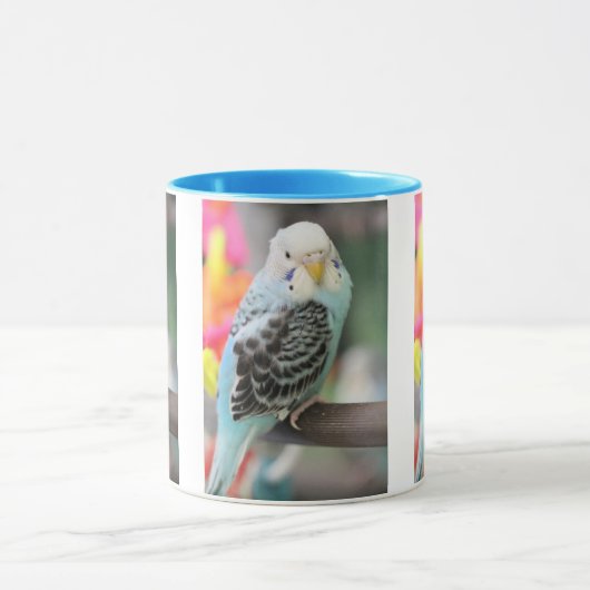 Budgie Tasse (Zentrum)