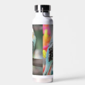 Budgie Trinkflasche (Links)