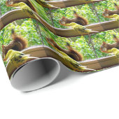 Budgie und rotes Eichhörnchen Geschenkpapier (Rolleneckpunkt)