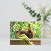 Budgie und Rotes Eichhörnchen Postkarte (Stehend Vorderseite)