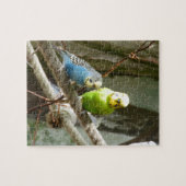 Budgie Vogel Puzzle (Horizontal)