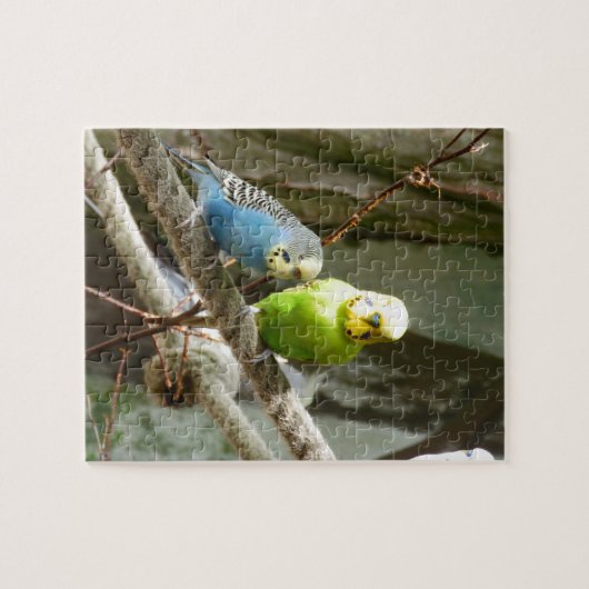 Budgie Vogel Puzzle (Horizontal)