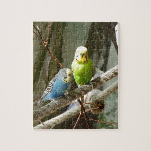 Budgie Vogel Puzzle (Vertikal)