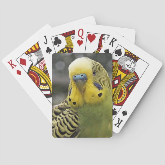 Budgie Vogel Spielkarten (Rückseite)