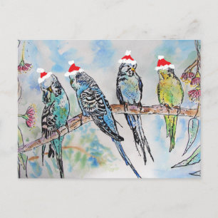 Budgie Watercolor Malerei Vogel Budgien Weihnachte Postkarte