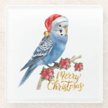 Budgie Weihnachten