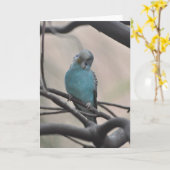 Budgie Wonder über Sie - Framework Art Card Karte (Gelbe Blume)