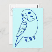 Budgie Zeichnend Postkarte (Vorne/Hinten)