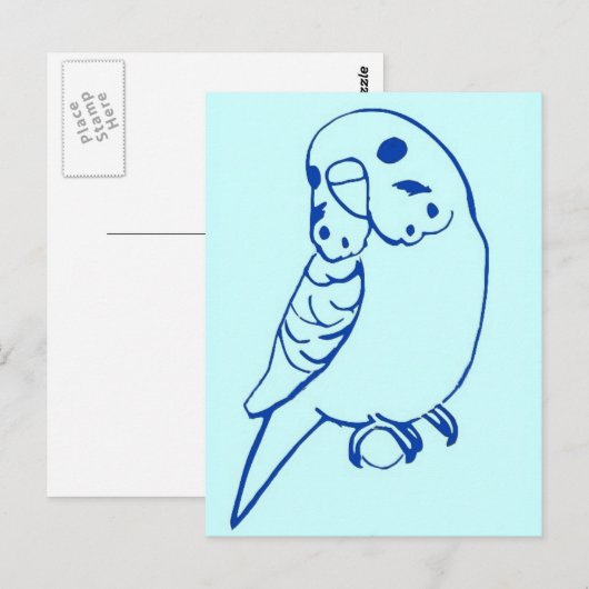 Budgie Zeichnend Postkarte (Vorne/Hinten)