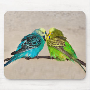 Budgien in Liebe Mousemat Mousepad
