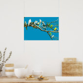 Budgien und Cockatiels Poster (Küche)