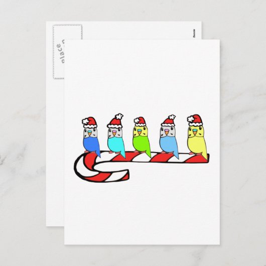 Budgien - Weihnachten (Vorne/Hinten)