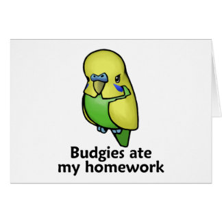 Budgies aß meine Hausaufgaben