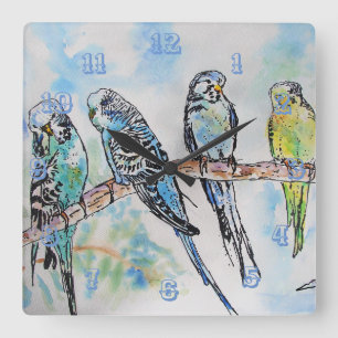 Budgies Budgie Budgerigar Bird Room Clock Quadratische Wanduhr