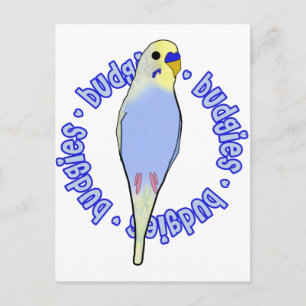 Budgies Budgies Budgies Postkarte