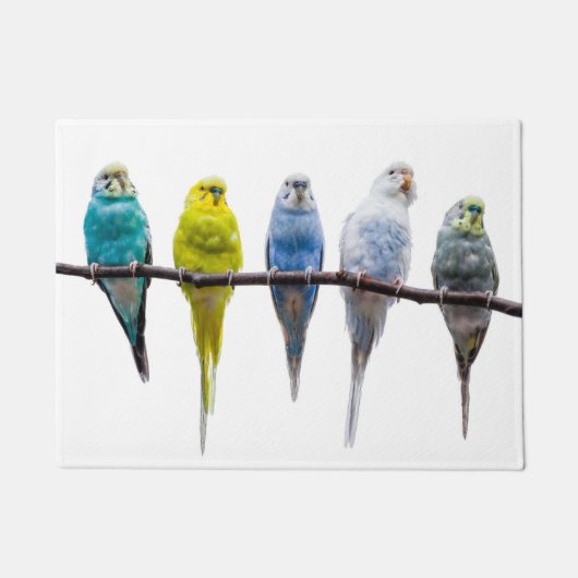 Budgies Fußmatte (Vorderseite)
