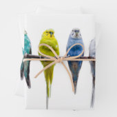 Budgies Geschenkpapier Set (Beispiel)