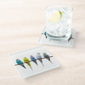 Budgies Glasuntersetzer (Schrägansicht)