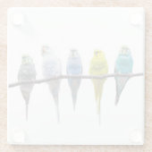 Budgies Glasuntersetzer (Rückseite)