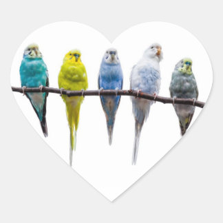 Budgies Herz-Aufkleber