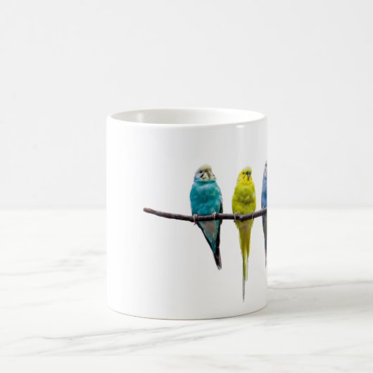 Budgies Kaffeetasse (Mittel)