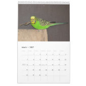 Budgies-Kalender Kalender (Mär 2027)