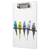 Budgies Klemmbrett (Links)