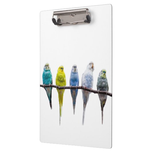 Budgies Klemmbrett (Links)