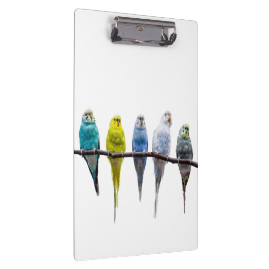 Budgies Klemmbrett (Rechts)