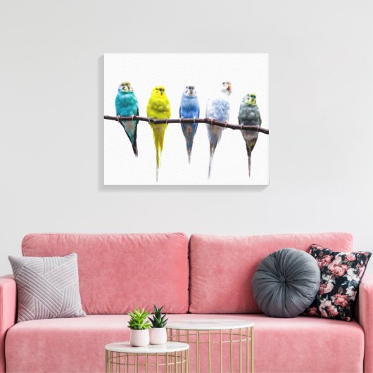 Budgies Leinwanddruck (Insitu (Wohnzimmer))