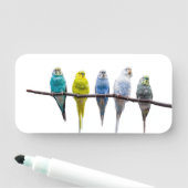 Budgies Namensschild (Beispiel)