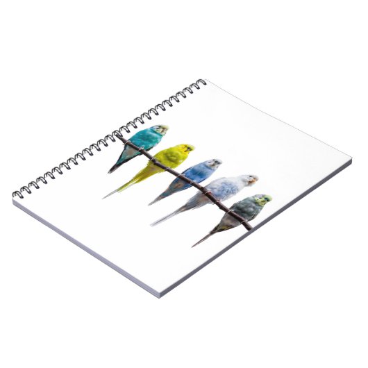 Budgies Notizblock (Linke Seite)