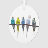 Budgies Ornament (Vorderseite)