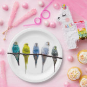 Budgies Pappteller (Party)