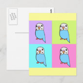 Budgies Pop Art Postkarte (Vorne/Hinten)