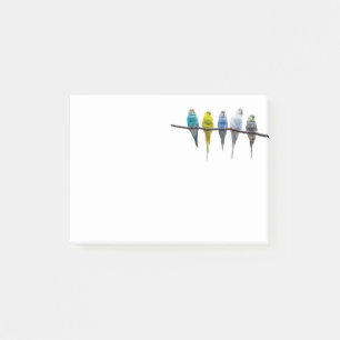 Budgies Post-it Klebezettel