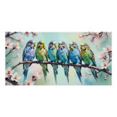 Budgies Poster (Vorderseite)