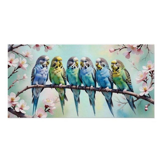 Budgies Poster (Vorderseite)
