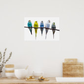 Budgies Poster (Küche)