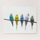 Budgies Puzzle (Horizontal)