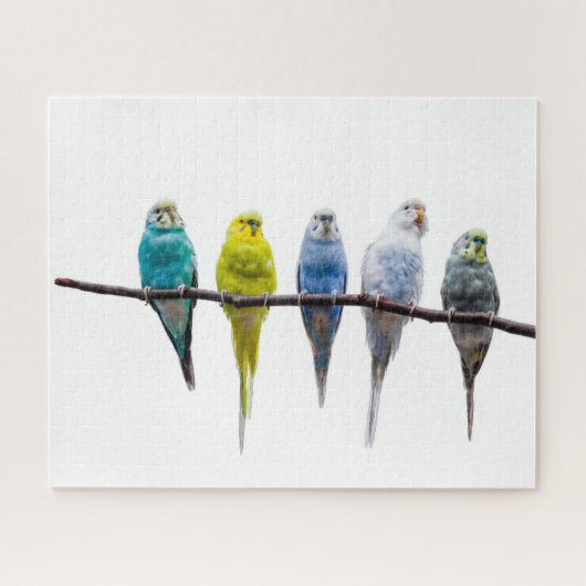 Budgies Puzzle (Horizontal)