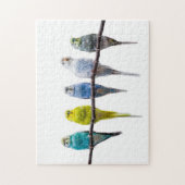 Budgies Puzzle (Vertikal)