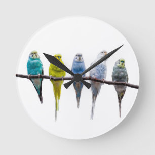 Budgies Runde Wanduhr