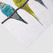 Budgies Seidenpapier (Ausschnitt)