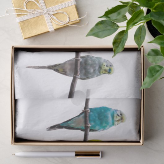 Budgies Seidenpapier (Geschenk)