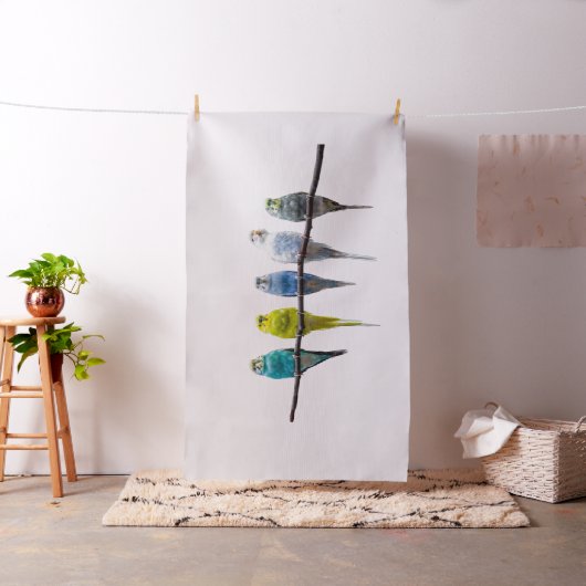 Budgies Stoff (Beispiel)