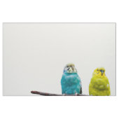 Budgies Stoff (Fat Quarter (45,7 x 55,9 cm))