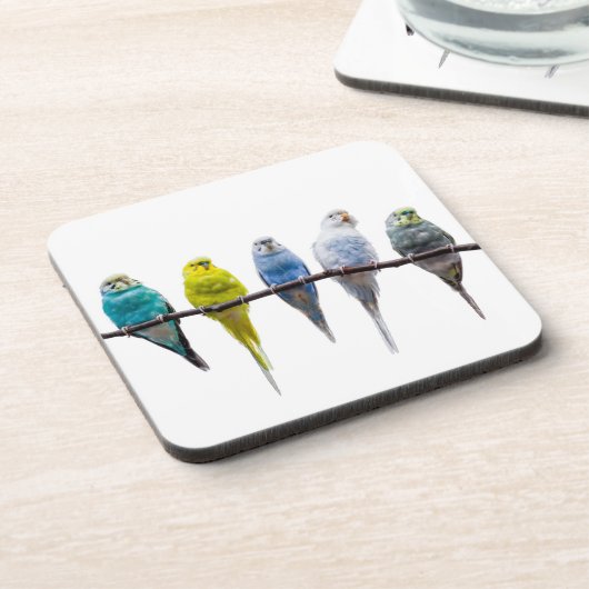 Budgies Untersetzer (Linke Seite)