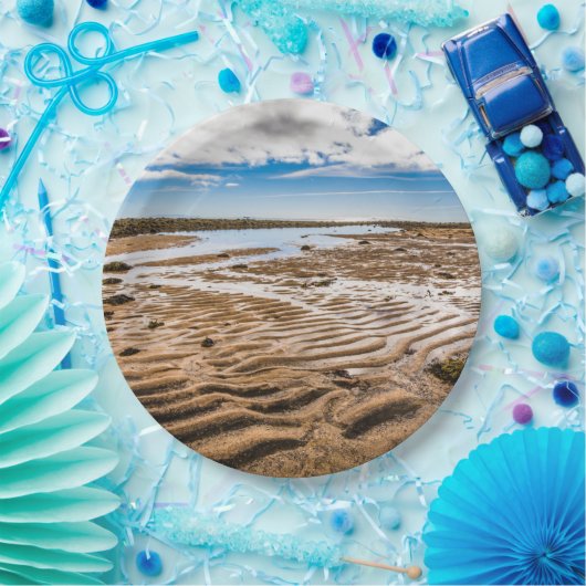 Budir Beach, Island Pappteller (Party)