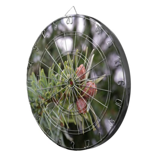 Buds Dartscheibe (Vorderseite rechts)